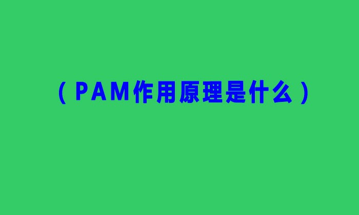 (PAM作用原理是什么) (PAM作用原理是什么)