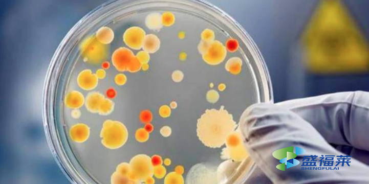 碳源的種類(lèi)及碳源在污水處理中的作用