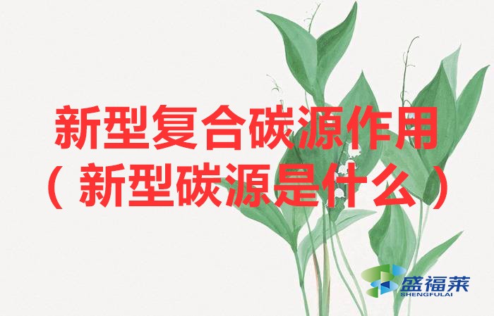 新型復(fù)合碳源作用(新型碳源是什么)
