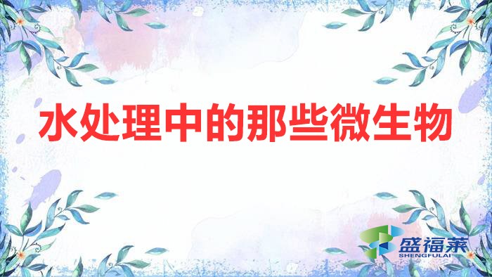 水處理中的那些微生物(污水處理中的微生物分類)