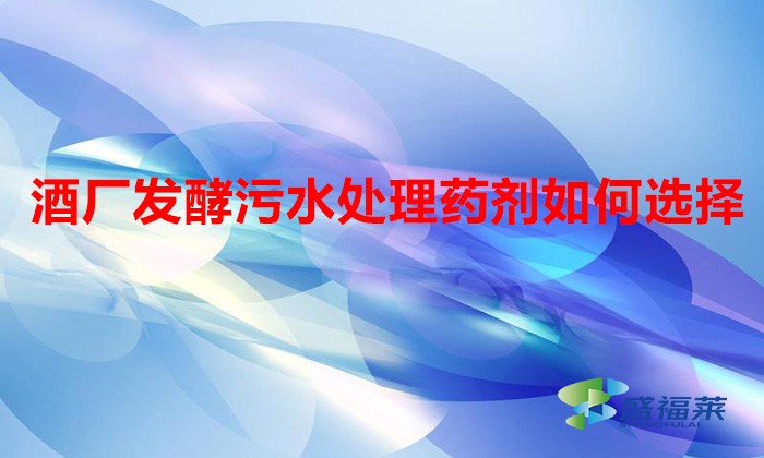 酒廠發酵污水處理藥劑如何選擇(酒廠污水用什么藥劑)