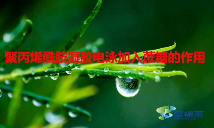 聚丙烯酰胺凝膠電泳加入蔗糖的作用(聚丙烯酰胺凝膠電泳加入蔗糖原理)