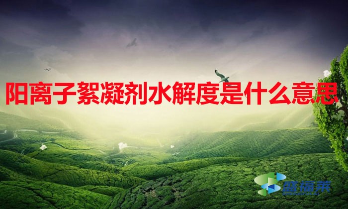 陽離子絮凝劑水解度是什么意思(陽離子絮凝劑水解度是多少)