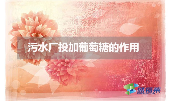 污水廠投加葡萄糖的作用(污水處理廠為什么投加葡萄糖)