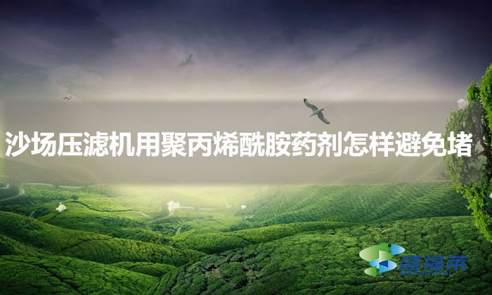 沙場壓濾機用聚丙烯酰胺藥劑怎樣避免堵?(聚丙烯酰胺避免堵塞的方法)