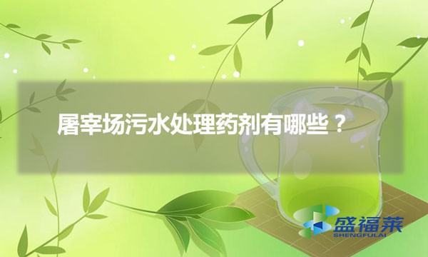 屠宰場污水處理藥劑有哪些(屠宰場污水用哪些藥劑)