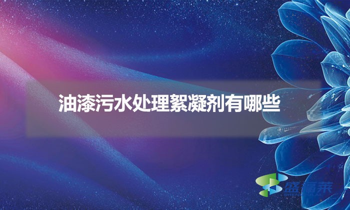 油漆污水處理絮凝劑有哪些(油漆污水用什么藥劑)