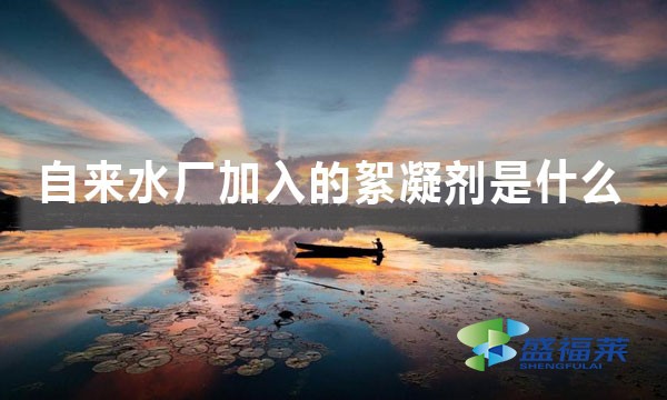 自來水廠加入的絮凝劑是什么