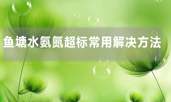 魚塘氨氮超標(biāo)最簡單的處理方法(魚塘水氨氮超標(biāo)常用解決方法)