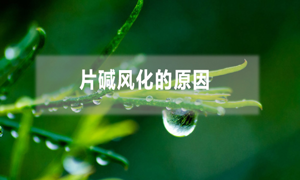 片堿風化的原因(片堿硬化成片怎么避免)