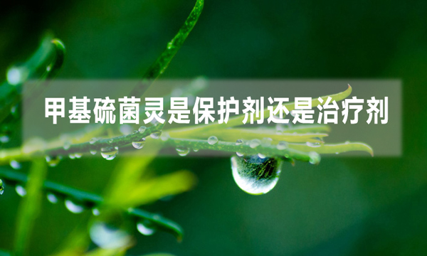 甲基硫菌靈是保護劑還是治療劑