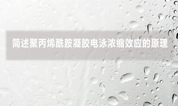 簡述聚丙烯酰胺凝膠電泳濃縮效應的原理