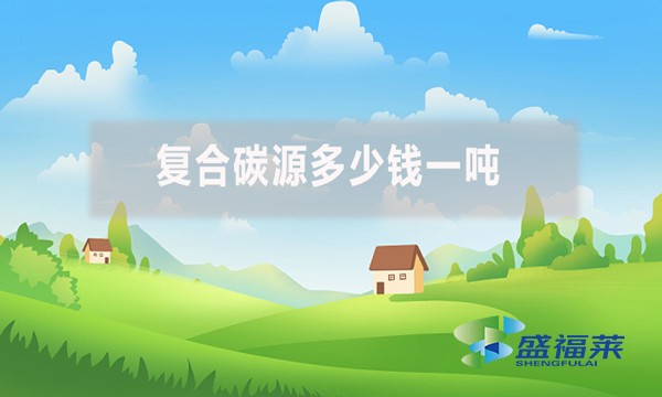 復(fù)合碳源多少錢(qián)一噸?