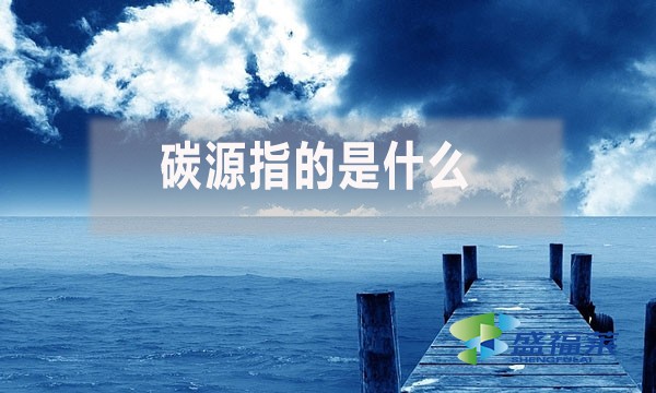 碳源指的是什么?