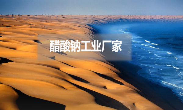 醋酸鈉工業(yè)廠(chǎng)家