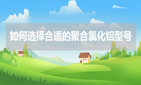 如何選擇合適的聚合氯化鋁型號?