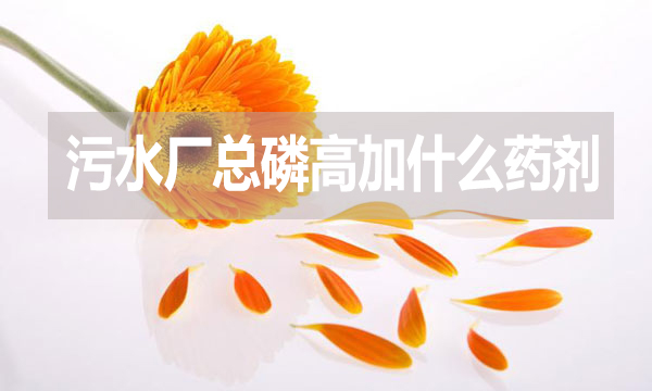 污水廠總磷高加什么藥劑?