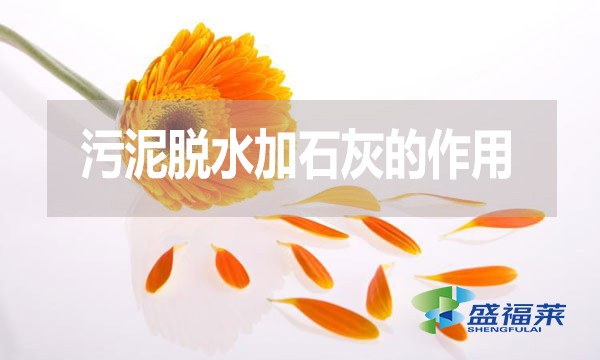 污泥脫水加石灰的作用是什么?