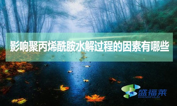 影響聚丙烯酰胺水解過程的因素有哪些?