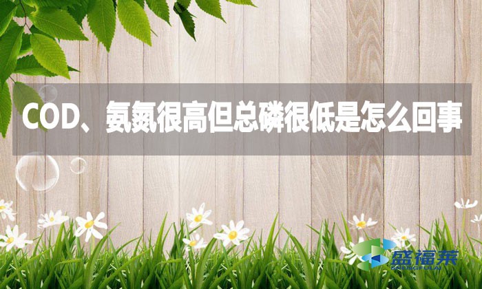 COD、氨氮很高但總磷很低是怎么回事