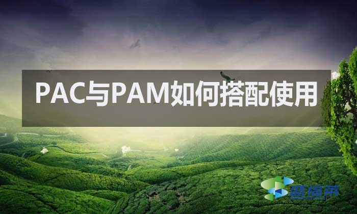 聚合氯化鋁與聚丙烯酰胺:水處理中的黃金搭檔如何高效配合?